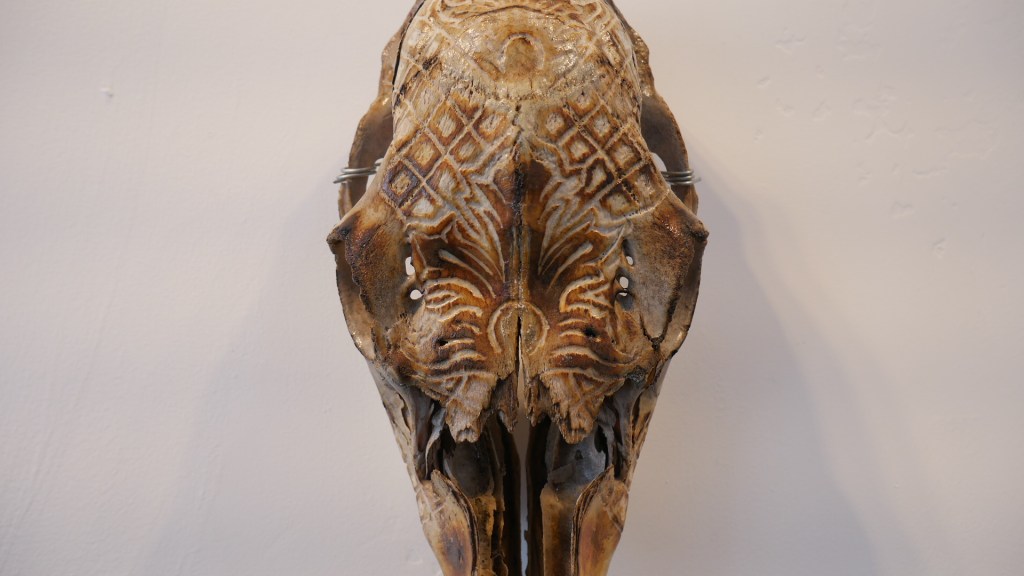 Scrimshaw skull with pattern by artist Adri De La Cruz