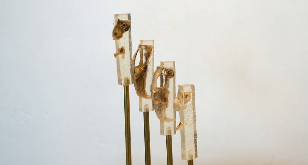 Resin and bone sculpture with four upright prongs by artist Adri De La Cruz