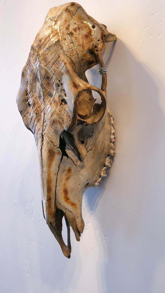 Scrimshaw skull with pattern by artist Adri De La Cruz